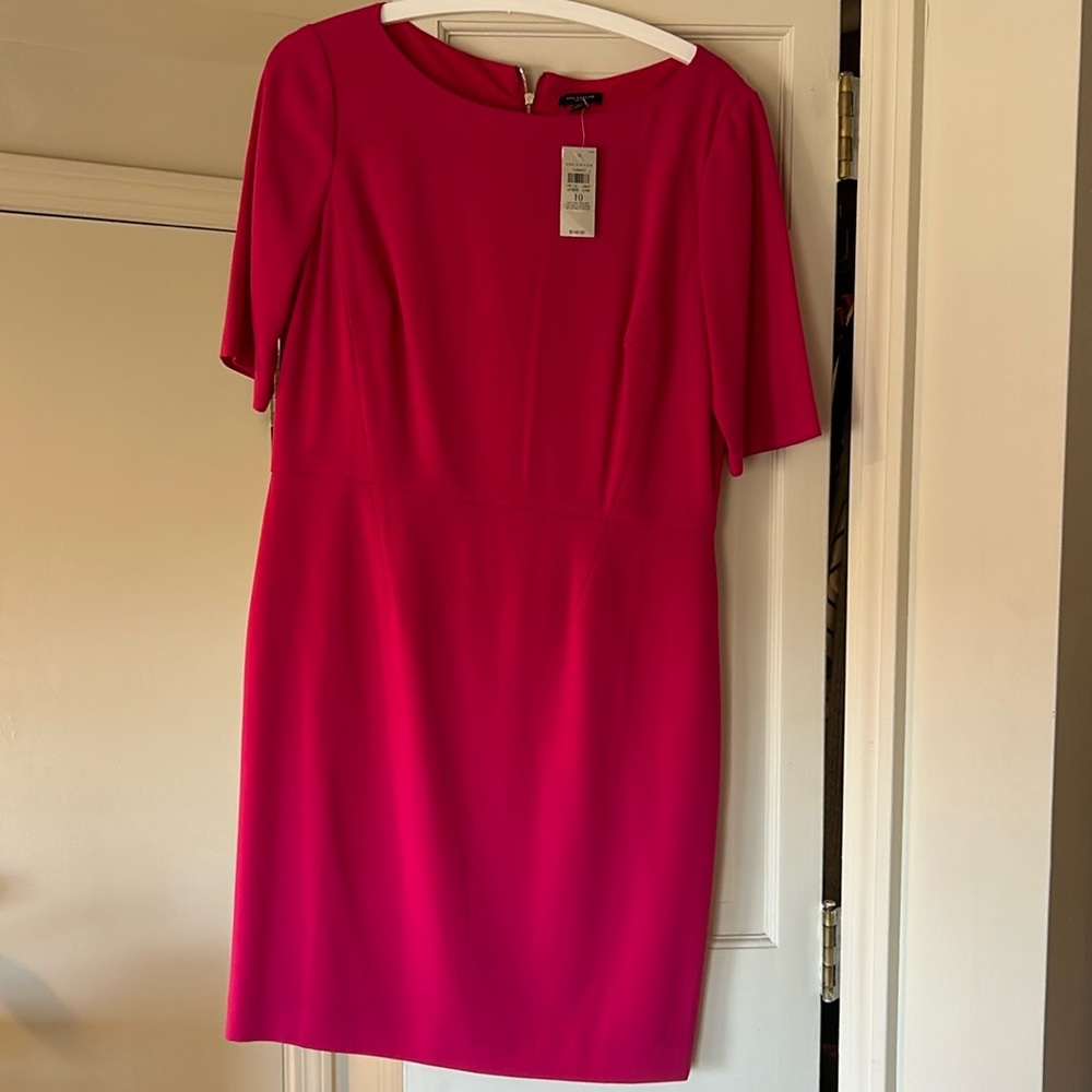 BNWT Ann Taylor Dress